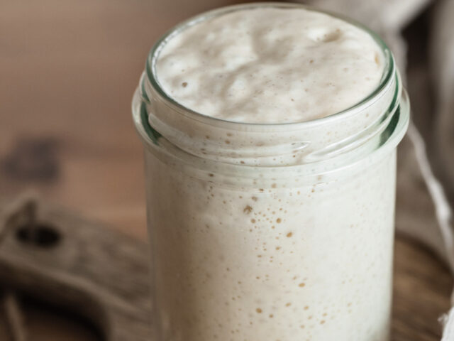 Sourdough Starter